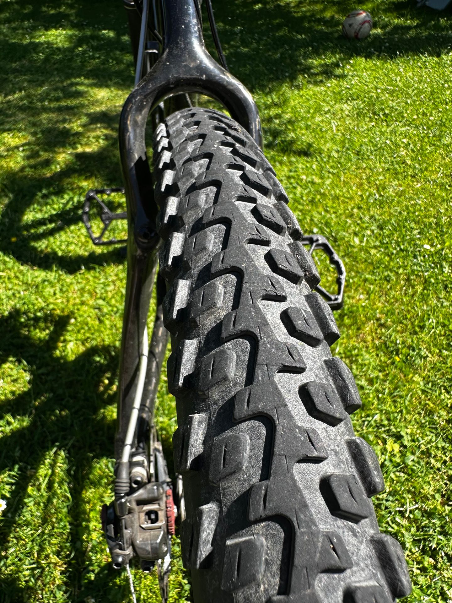 bicycle photo