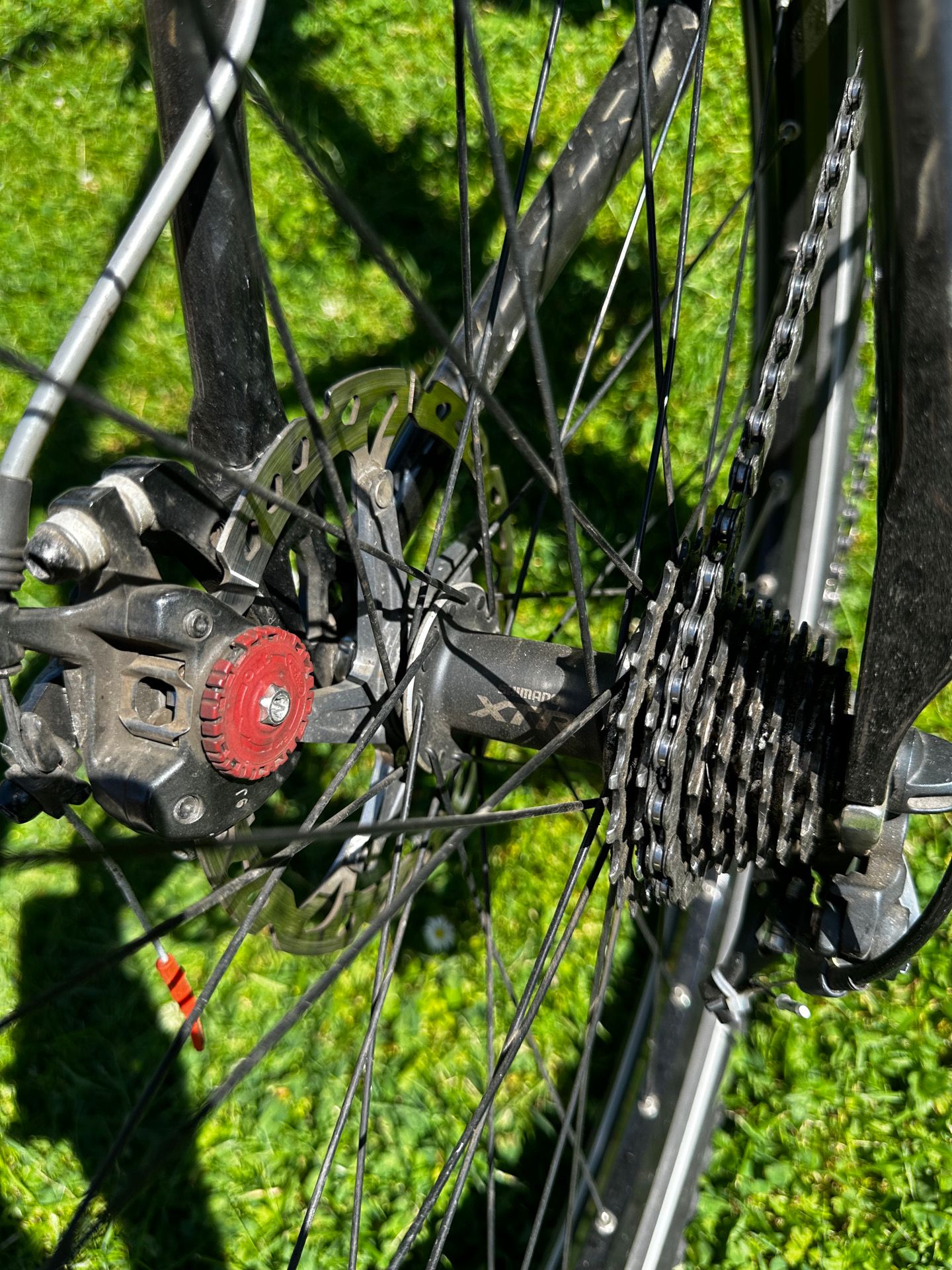 bicycle photo